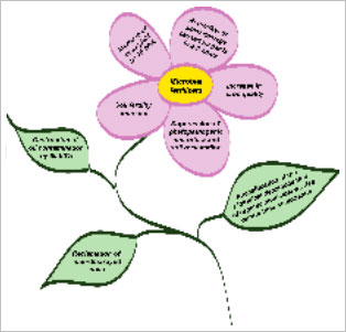 Positive effects of microbial fertilizer applications in environmental protection and organic agriculture